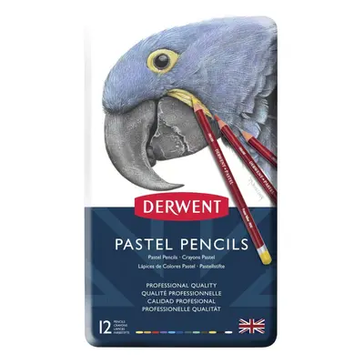 Derwent Pastel Pencils, Set of 12, Professional Quality, 32991, Multicolor