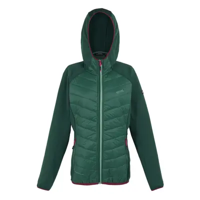 (12 UK, Rainforest) Regatta Womens/Ladies Andreson VIII Hybrid Jacket