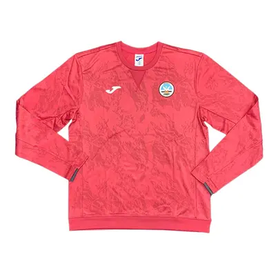 (XL) Swansea Free Time Sweatshirt (Pink)