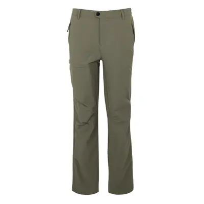 (40S, Treetop) Regatta Mens Highton II Hiking Trousers