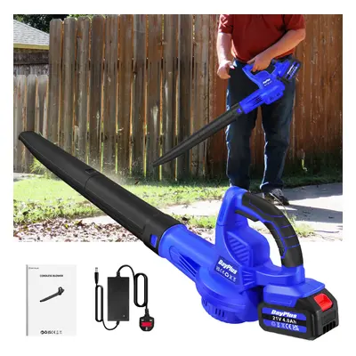 Cordless Leaf Blower Portable Dust Blower for Home Garden Lawn Garage Car Corner Dust Clearing w