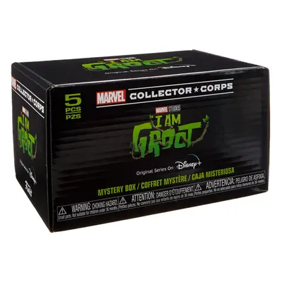 Funko Marvel Collector Corps Subscription Box I Am Groot Disney+ Theme Multicolor