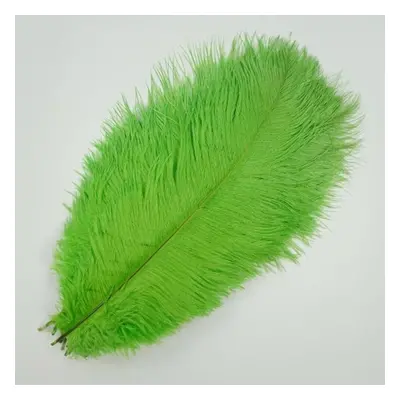 (apple green, 55-60cm 22-24inch) 10pcs /lot New Colored Ostrich Feathers For Crafts White Black 