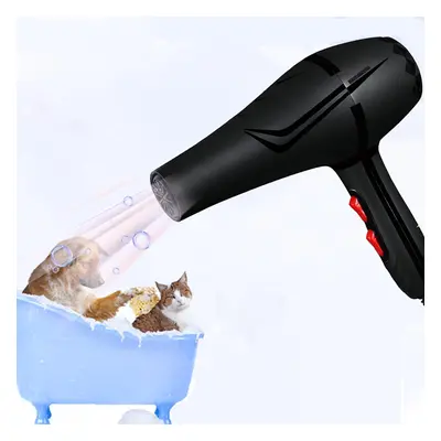 900W Pet Hair Dryer Gear Adjustment Low Noise Big Wind Blower Hairdryer