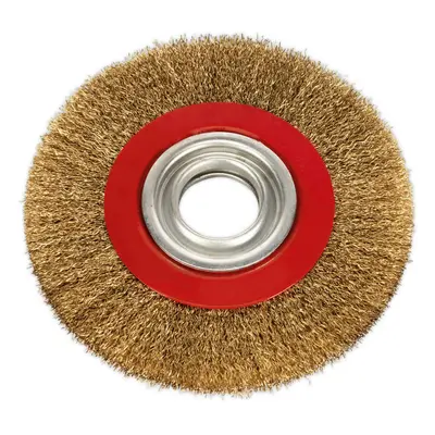 150 x 13mm Wire Brush Wheel - Brass Coated Steel - 32mm Bore - Bench Grinding