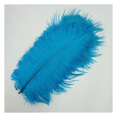 (blue, 55-60cm 22-24inch) 10pcs /lot New Colored Ostrich Feathers For Crafts White Black Feather