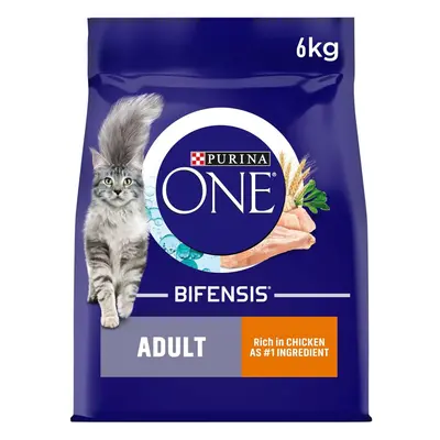 Purina ONE Adult Dry Cat Food Rich in Chicken 6kg, Packaging may vary