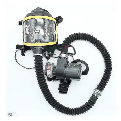 Electric Full Face Gas Mask Respirator System Constant Flow Supplied Air Fed