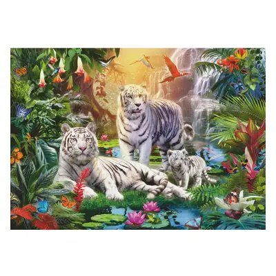 12000886 - White Tiger Family - pieces jigsaw puzzle â Puzzle for adults and kids age years up