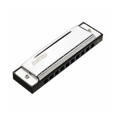 C Key Holes Harmonica Blues Harp Stainless Steel Cover Plate with Plastic Box