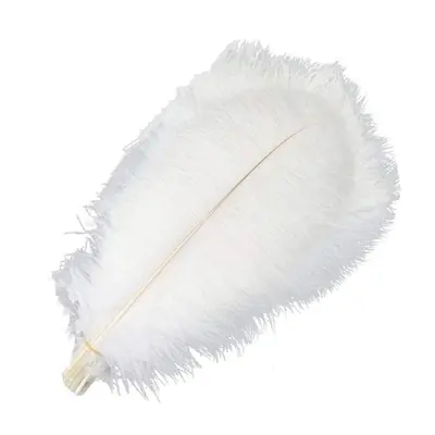 (white, 55-60cm 22-24inch) 10pcs /lot New Colored Ostrich Feathers For Crafts White Black Feathe