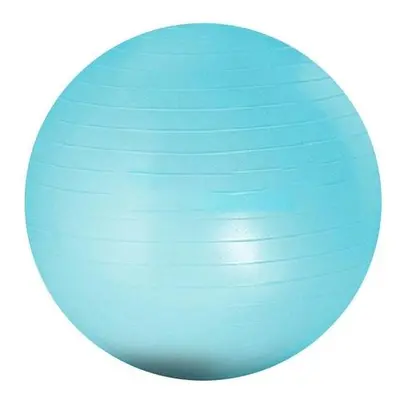 (Blue) 55Cm Yoga Ball Home Fitness Pilates Gym Exercise Workout