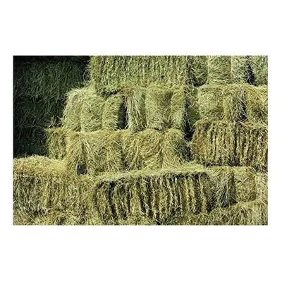 Shorefields Fresh Meadow Hay, Rabbit & Small Animal Hay, large bale, approx 17kg-22kg, 100cmx50c