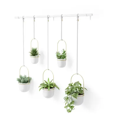 Umbra Triflora Hanging Planter for Window Indoor Herb Garden Set of WhiteBrass