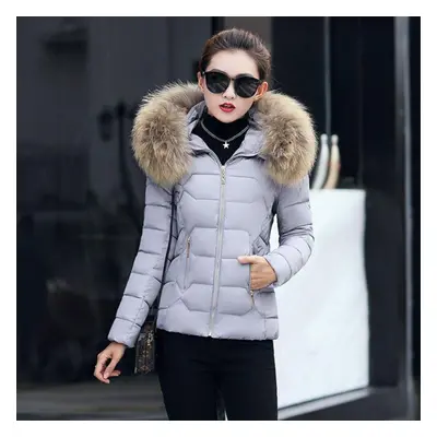 (grey, S) Women Winter Warm Coat Fake Fur Collar Parka Down Solid Color Full Sleeve Long Thicken