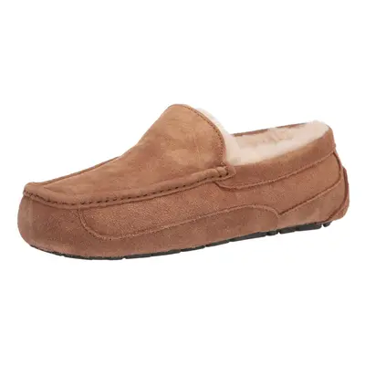 UGG Men's Ascot Slipper Chestnut