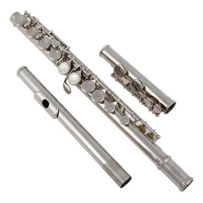 Silver Plated Closed Holes C Key Flute With Case / Screwdriver / Cloth