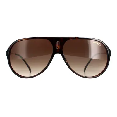 Carrera Sunglasses Hot65 HA Dark Havana Brown Gradient