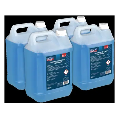 Carpet/Upholstery Detergent 5L Pack of