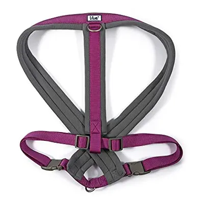 Viva Padded Harness Purple 70-98cm