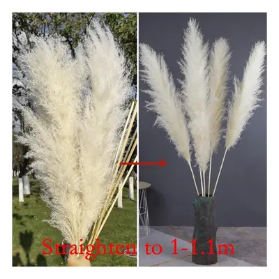 (white, 10pcs) 110cm Tall And Fluffy Large Pampas Grass For Elegant Home Decoration Garden And B