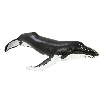 Safari S202029 Humpback whale