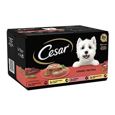 Cesar Classics Terrine - Wet Dog Food for Adult Dogs 1+ Mixed Selection in Jelly, Trays (24 x g)