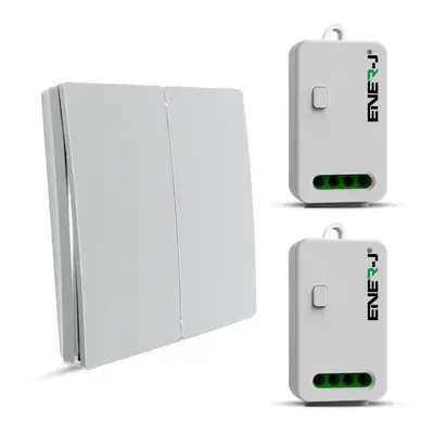 ENER-J Gang Wireless Kinetic Switch, Silver + units of 500W RF Receiver