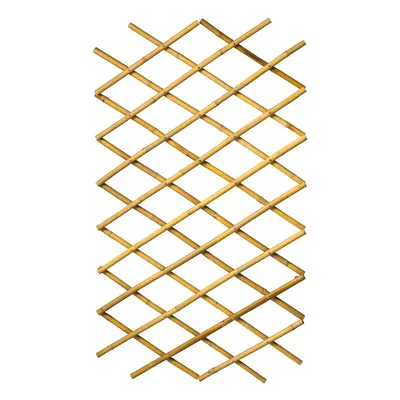 Nature Garden Trellis Expanding Fence Panel Wall Decor 45x180 cm Bamboo