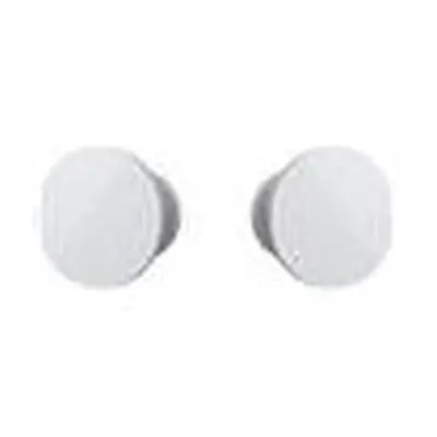 Microsoft Surface In Ear Wireless Earbuds - Platinum