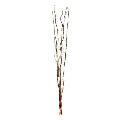 Beautiful Decorative Natural Twigs Interwoven Lights