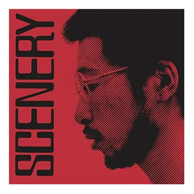 Ryo Fukui - Scenery [VINYL]