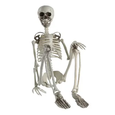 (white, M/90) Halloween Skeleton Life Size Realistic Human Bones Pp Material Seven Adjustable Jo