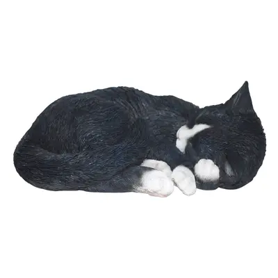 Vivid Arts Size B Real Life Sleeping Cat - Black/ White