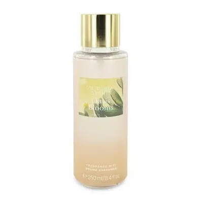 Victoria's Secret Oasis Blooms by Victoria's Secret Fragrance Mist Spray 8.4 oz (Women) V728-551