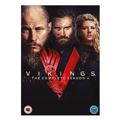 Vikings Complete Season [2017] (DVD)