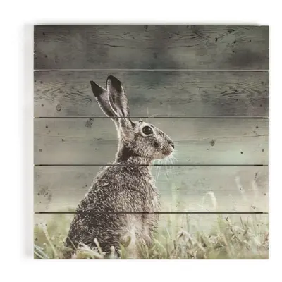 Art For The Home Hare Print On Wood Wall Art