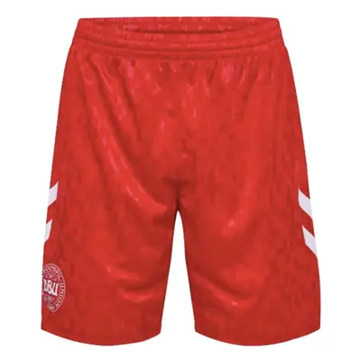 (L) Denmark Away Shorts (Red)