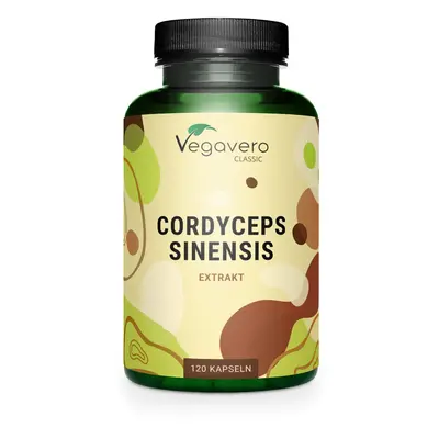 Cordyceps Sinensis 6500mg | 10:1 Mushroom Extract | 4-Month Supply | 40% Polysaccharides | NO Ad