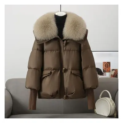 (coffee, XXL) Winter Women&apos;s Warm Coat Thicken Fur Collar Jacket Short Down Cotton Loose Ou