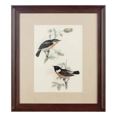 Premier Housewares Framed Birds Wall Art