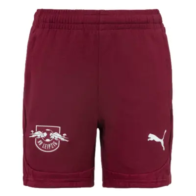 (3XL) Red Bull Leipzig Training Shorts (Dark Jasper)