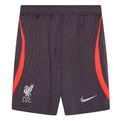 (XL) Liverpool Strike Training Shorts (Gridiron)