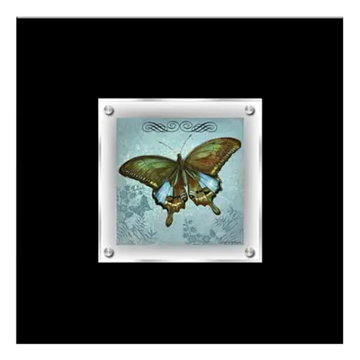 Premier Housewares Butterfly Framed Wall Art