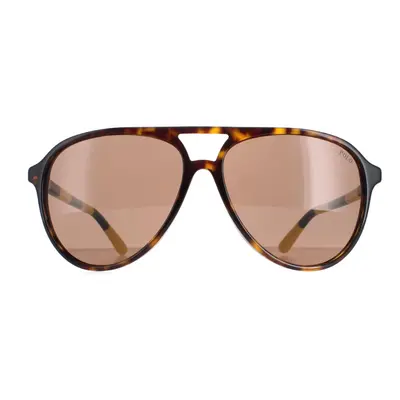 Polo Ralph Lauren Sunglasses PH4173 Shiny Dark Havana Brown