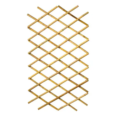 409344 Nature Garden Trellis Expanding Fence Panel Decor 70x180cm Bamboo