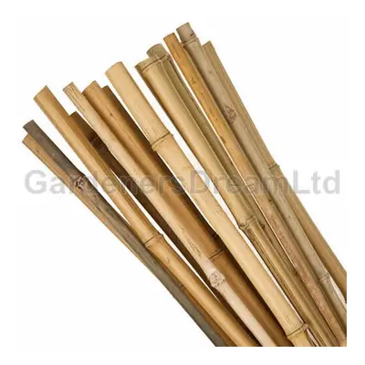 50 X 5FT HEAVY DUTY BAMBOO GARDEN CANES STRONG THICK QUALITY PLANT SUPPORT