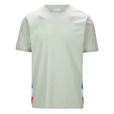 (S) Alpine Mens T-Shirt (Light Grey)