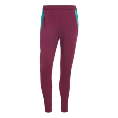 (M) Mexico Training Pants (Dark Burgundy)