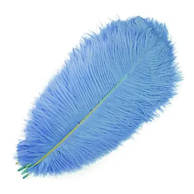 (light blue, 55-60cm 22-24inch) 10pcs /lot New Colored Ostrich Feathers For Crafts White Black F